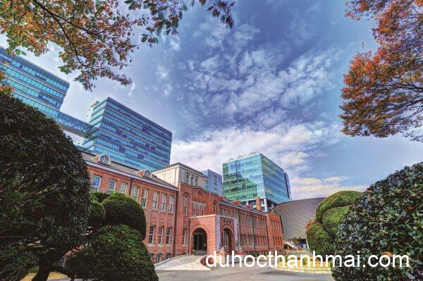 Đại học DongA – Trường Đại Học Danh Tiếng Trong Lòng Busan