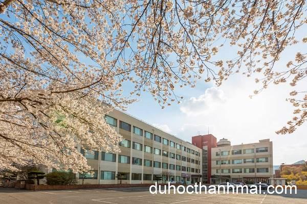Đại Học Kyungil Hàn Quốc – Ngôi Trường Top Đầu Tại Gyeongsan