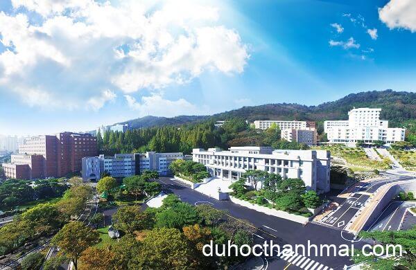 Đại Học Kyungnam Hàn Quốc – Đại học Số 1 Ngành Du lịch Khách sạn