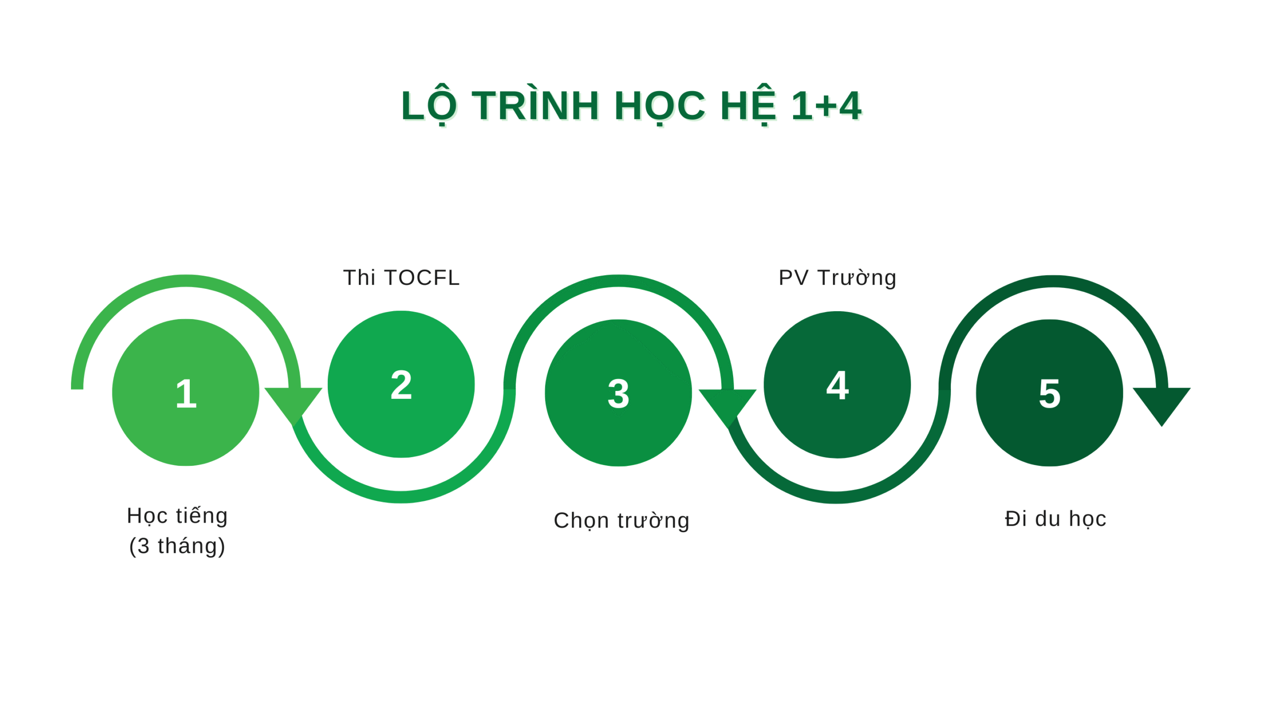 Chương trình hệ chuyên ban Quốc tế 1+4