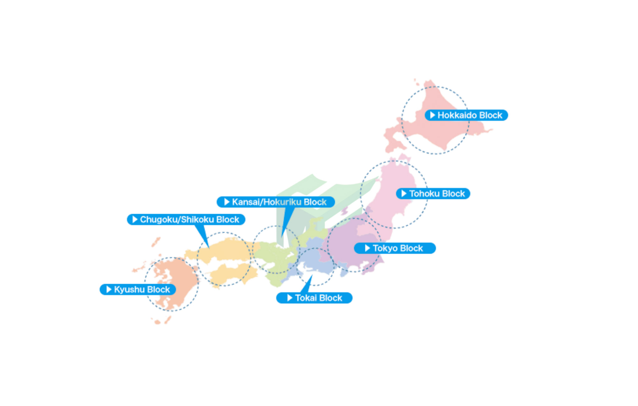 Học bổng từ các trường đại học