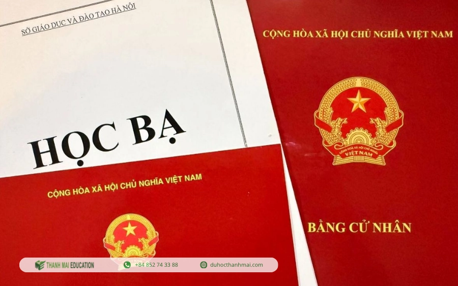 Bằng cấp và hồ sơ học tập